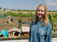 Nina und die wilden Tiere