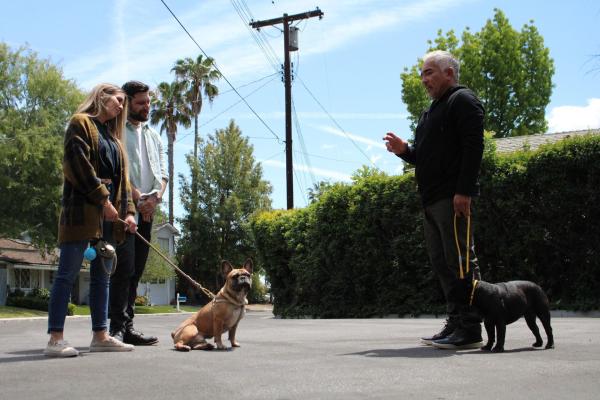 Bild 1 von 4: Cesar Millan (r.)