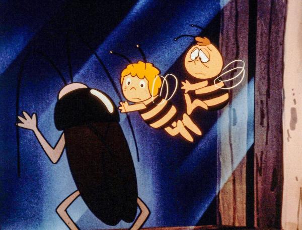 Bild 1 von 8: Im Bild: Maja und Willie sind mit der Küchenschabe zu den Menschen gegangen..