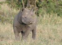 Im Einsatz für den Planeten - Die Artenretter