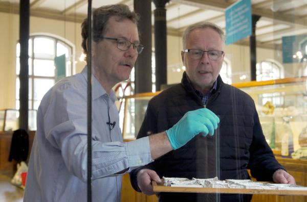 Bild 1 von 3: Der Geologe Lutz Hecht (li.) und sein Kollege Ansgar Greshake (re.) im Museum für Naturkunde in Berlin: Die hauseigene Meteoritensammlung umfasst rund 6000 Exemplare.