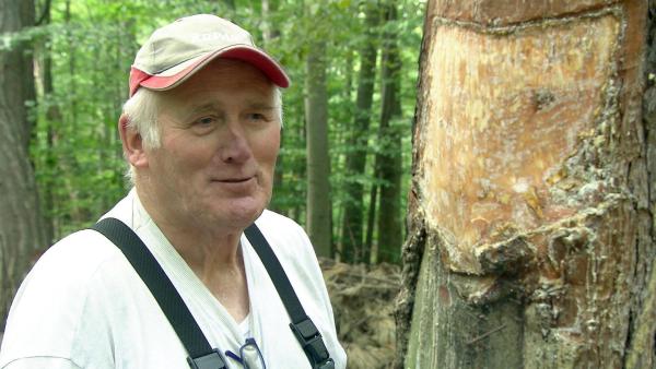 Bild 1 von 19: Im Bild: Josef Kaiser, Pecher.