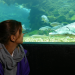 Anna und die wilden Tiere