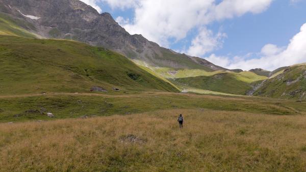 Bild 1 von 4: Almgemeinschaft Stappitz Rabisch.