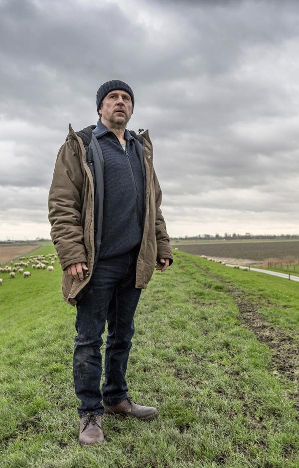 Mann (Sörensen) steht einsam auf einer Wiese im Hintergrund grasen Schafe | graue Wolken brauen sich zusammen