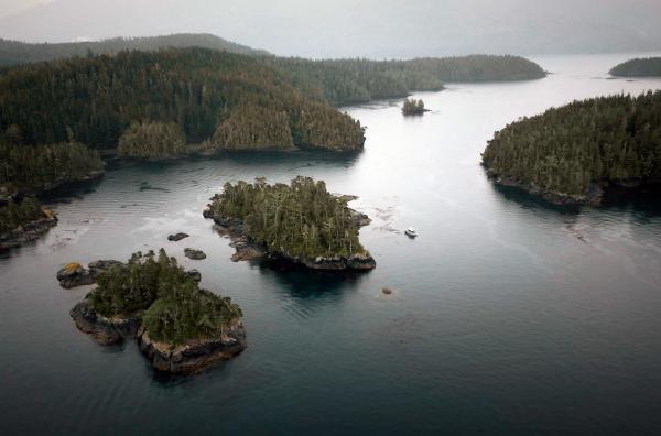 Bild 1 von 4: Durch viele kleine Inseln entstehen Unterwasserströmungen, die das maritime Leben fördern.