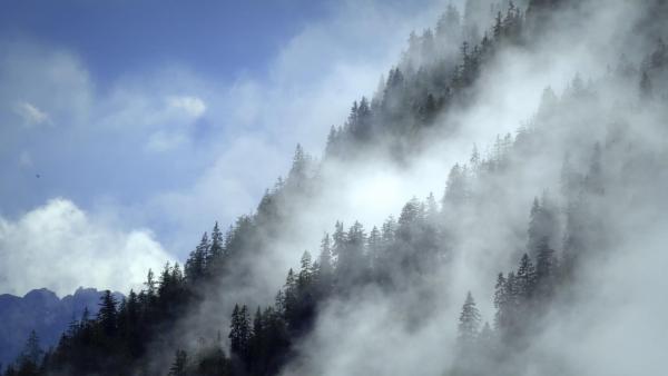 Bild 1 von 39: Im Bild: Nebelfelder.