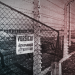 Krieg und Holocaust - Der deutsche Abgrund