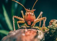 Zoo und so - Tierisch wild!