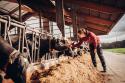 Die Geschichte der Landwirtschaft