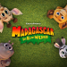 Madagascar - Die kleine Wildnis