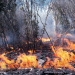 Feuerwirbel