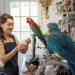 Mia and me - Abenteuer in Centopia