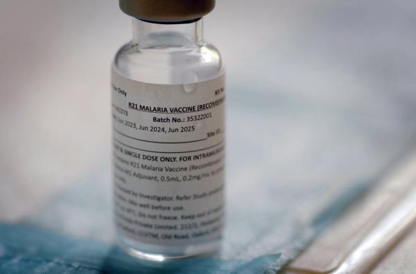 Bild 1 von 3: Bisher ist nur ein einziger Impfstoff gegen Malaria zugelassen. Nun werden alle Hoffnungen in einen neuen Impfstoff gesetzt, der eine 75-prozentige Wirksamkeit erreichen könnte.