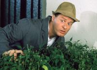 Hausmeister Krause - Ordnung muss sein