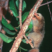 Abenteuer Wildnis