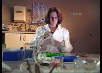 Medical Detectives - Geheimnisse der Gerichtsmedizin