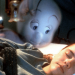 Casper