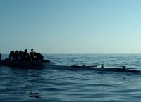 Operation Marea Negra