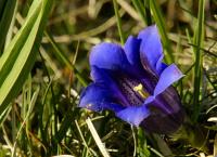 Wunderwelt Schweiz: Die Jura-Region