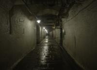 Geheime Welten - Reise in die Tiefe