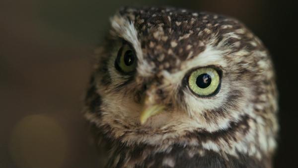 Bild 1 von 3: .