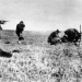 Die Wahrheit über den Holocaust
