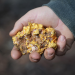 Australian Gold - Schatzsuche Down Under