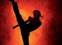 Karate Kid