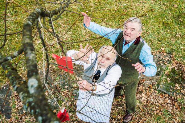 Bild 1 von 2: Im Bild: Gottlieb Herzinger (Branko Samarovski, re.) und Herr Wagner (Ovidiu Schumacher) versuchen, einen Brief aus den Zweigen eines Baumes zu \