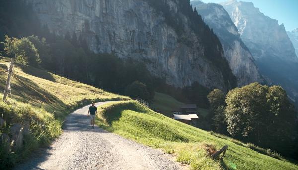 Bild 1 von 1: 