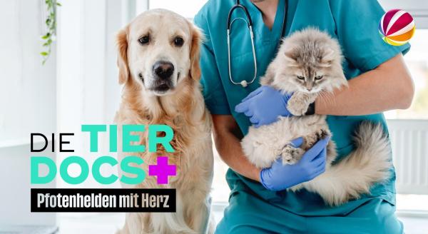 Bild 1 von 5: .
