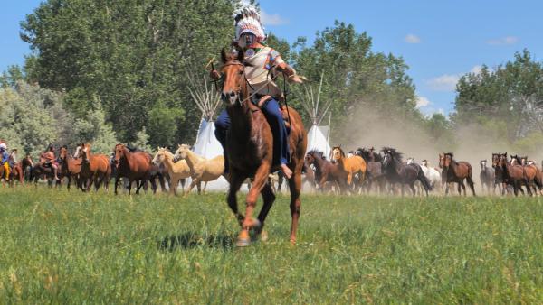 Bild 1 von 11: Im Bild: Nachstellung der Schlacht am Little Bighorn im Jahre 1876.