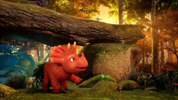 Bild 1 von 4: Bei ihren Schattenspielen im Wald vergessen Ginger und ihre Freunde die Zeit.© ZDF/Cheeky Little Media - Honorarfreie Verwendung gemäß AGB im redaktionellen Zusammenhang mit genannter Sendung bei Nennung \