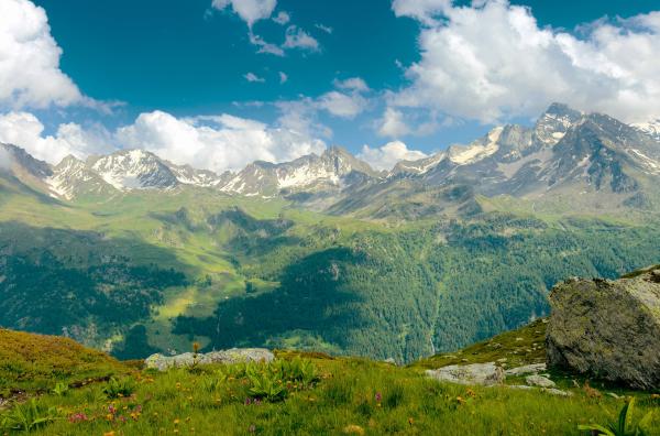 Bild 1 von 2: Panoramabild der Almwiese im Valgrisenche