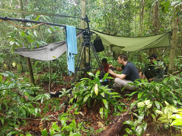 Bild 1 von 13: Das Filmteam hat sich im indonesischen Gunung Palung National Park eingerichtet.