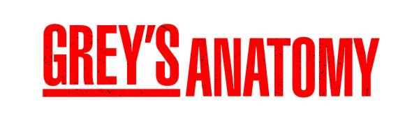 Bild 1 von 2: GREY'S ANATOMY - Logo