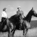 Auf der grünen Wiese