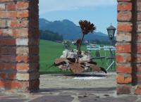 Unter unserem Himmel