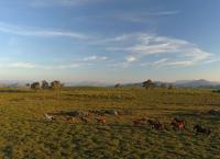 Portugal - Wildnis zwischen Land und Ozean