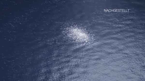Bild 1 von 2: Als die Piloten der US-Marine im November 2004 vor der Küste San Diegos ankamen, sahen sie, dass das Wasser an einer Stelle Blasen bildete und weiß schimmerte. Anscheinend bewegte sich unter Wasser ein großes Objekt.