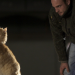 Geschichte der Tiere