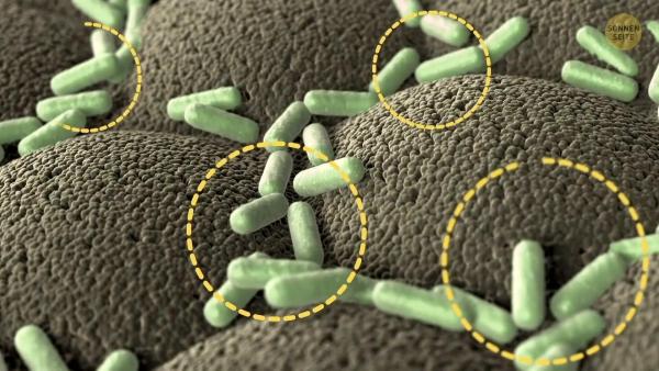 Bild 1 von 7: Im Bild:  Fettfalle Diäten.