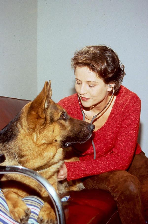 Bild 1 von 8: Im Bild: Tierärztin Dr. Sonja Koller (Daniela Gaets) untersucht Rex.