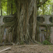 Lost Places