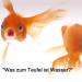 Die Kulturfisch-Revue