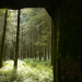Frankreichs mythische Orte