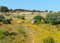 Naturparks in Portugal