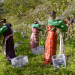 Die wunderbare Welt der Weine