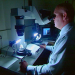 Medical Detectives - Geheimnisse der Gerichtsmedizin